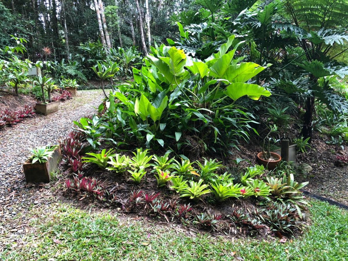 Honeybee House Villa Kuranda Luaran gambar