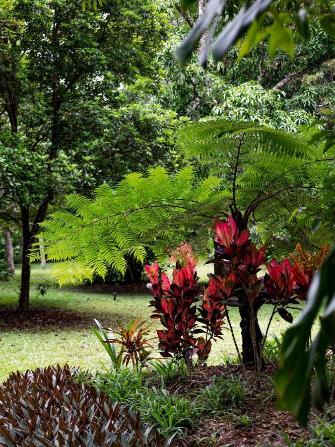 Honeybee House Villa Kuranda Luaran gambar