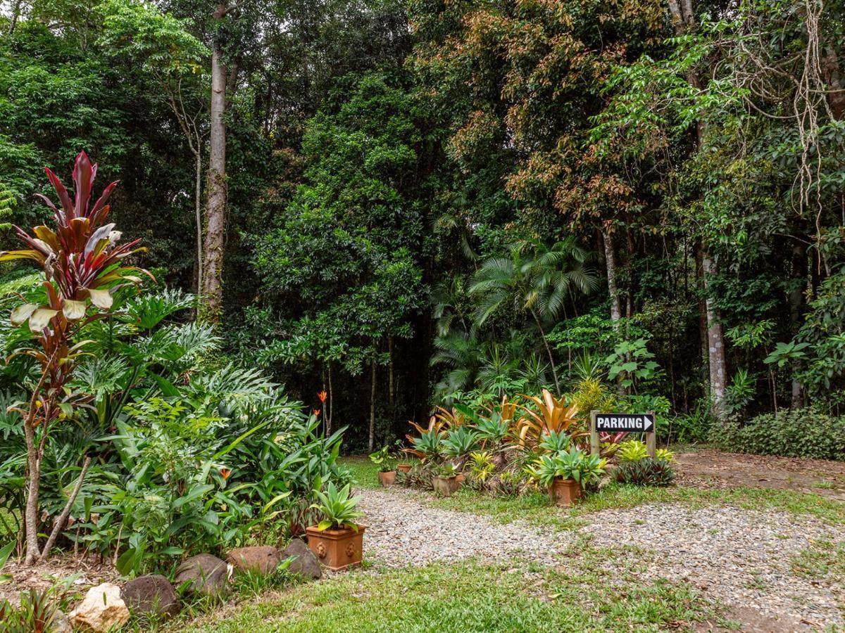 Honeybee House Villa Kuranda Luaran gambar